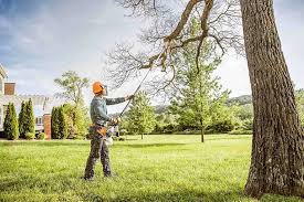 Best Hazardous Tree Removal  in Wake Village, TX